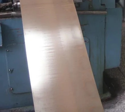 Haste de liga de níquel/tira/fio em 100 (EMS55089)